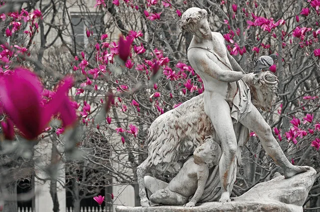 Dans les jardins du Palais Royal © Lionel Isy-Schwart