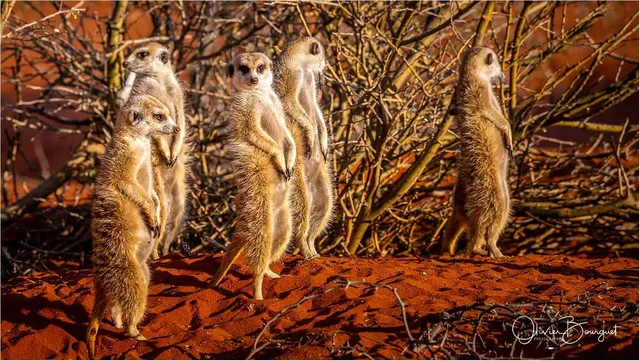 NAMIBIE