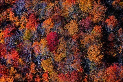 © André Maurice