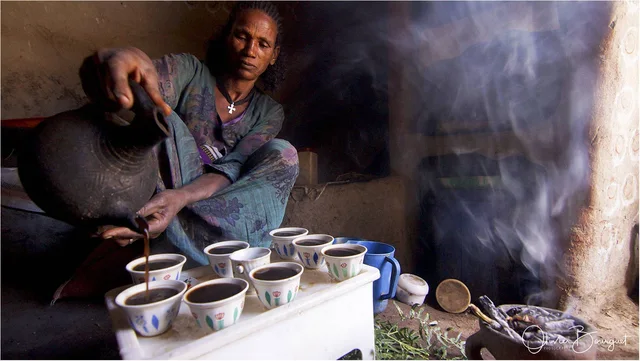Patrie d'origine du café - Photo © Olivier Bourguet