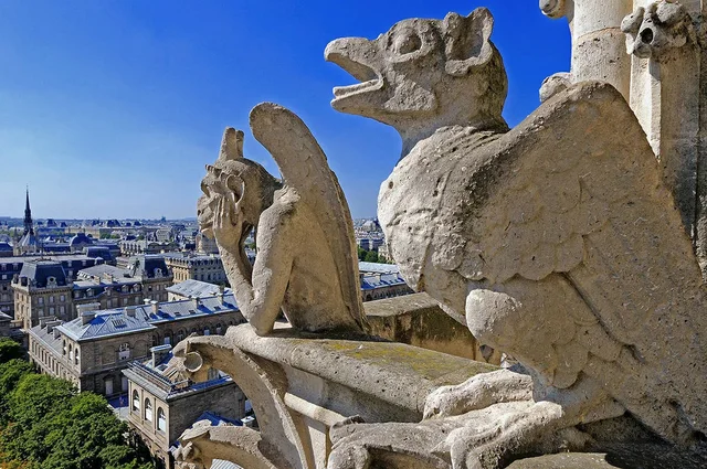 Gargouille - Notre Dame de Paris © Lionel Isy-Schwart