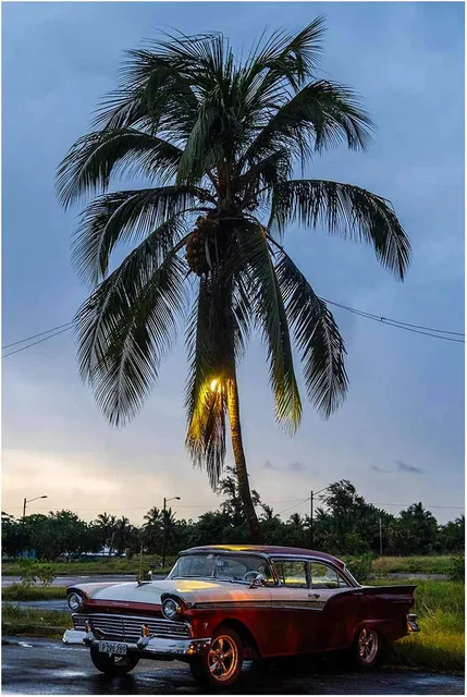 © Nicolas Pellissier