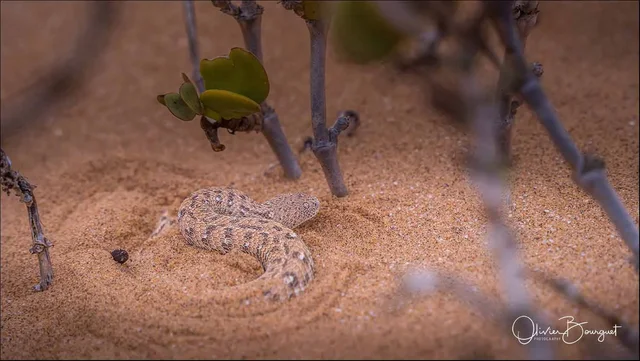 NAMIBIE