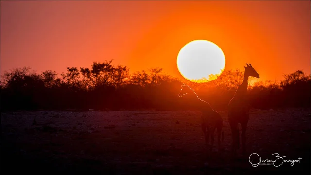 NAMIBIE