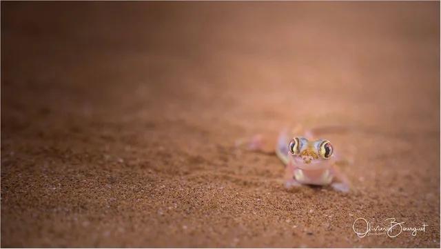 NAMIBIE