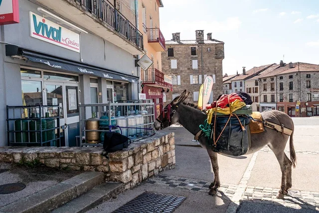 © Philippe Jacq