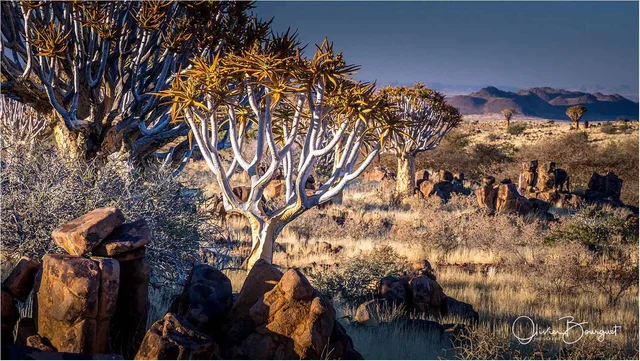NAMIBIE