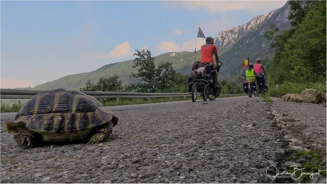 Serbie, tout un symbole! - Photo © Olivier Bourguet