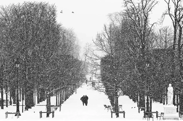 Le jardin des Tuileries sous la neige © Lionel Isy-Schwart