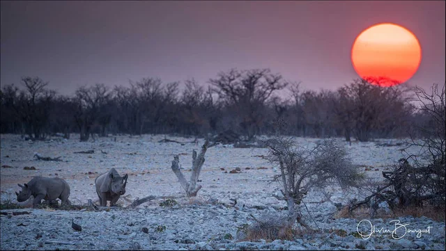 NAMIBIE