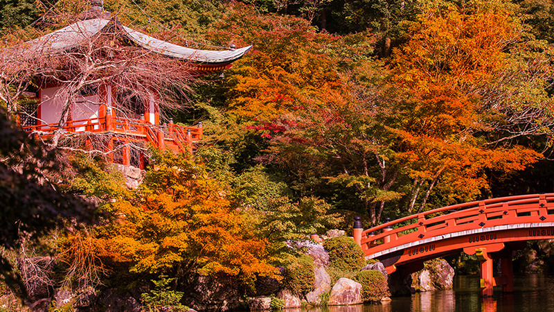 Couleurs d’automne au Japon