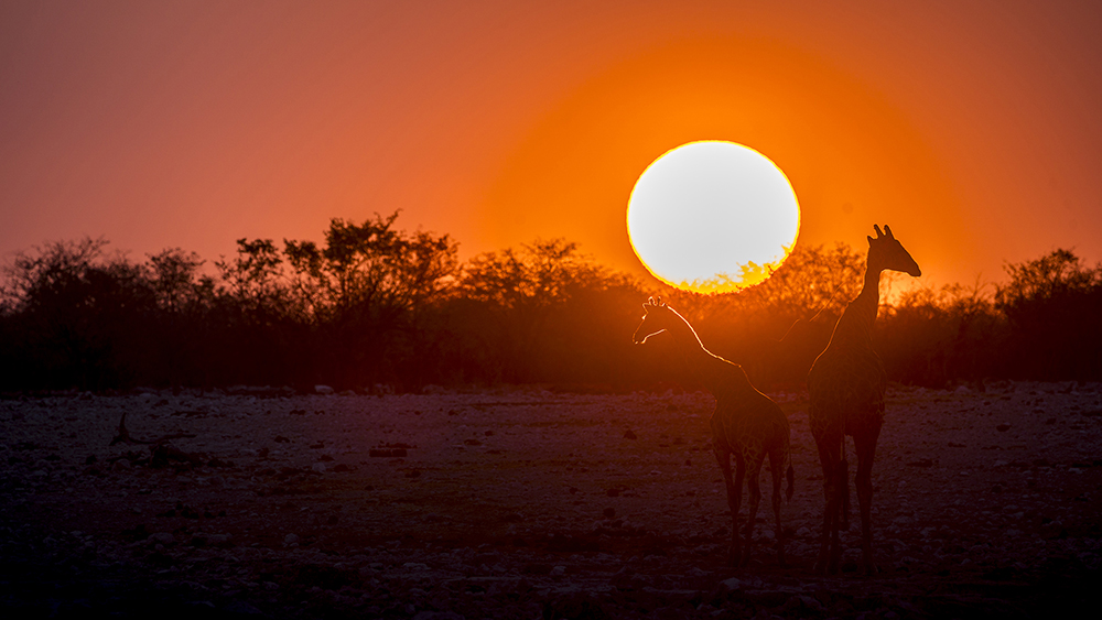 Coucher de soleil en Namibie