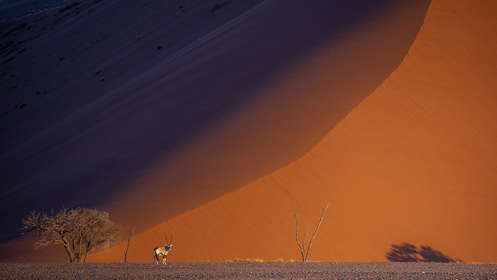 Lumière sur les dunes du Namib