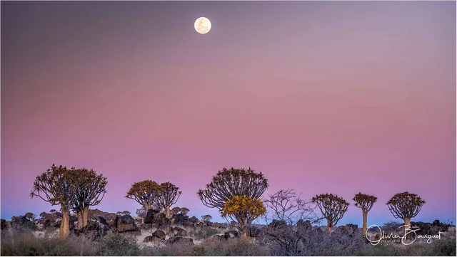 NAMIBIE