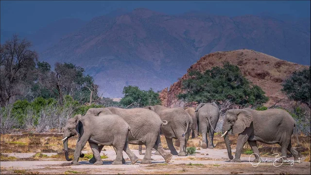 NAMIBIE