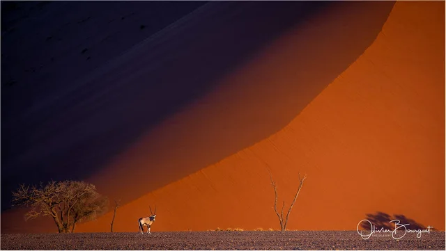 NAMIBIE
